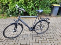 Fahrrad Herrenrad Herrenfahrrad XXL Gudereit RH 67 Niedersachsen - Weyhe Vorschau