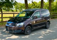 Volkswagen Caddy 1,6 TDI 5-Sitze Klima Sitzh. 2x Schiebetür AHK Niedersachsen - Spelle Vorschau