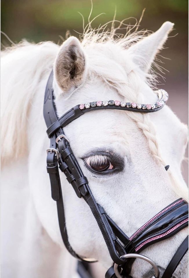 ♥️ Mega schickes Trensenzaum Spezialgrösse Welsh A-Pony ♥️ in Krostitz