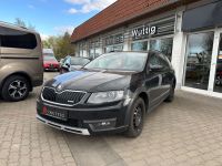 Skoda Octavia Combi 2.0 TDI (Green tec) 4x4 Scout Thüringen - Bad Langensalza Vorschau