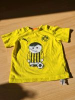 BVB Trikot Nordrhein-Westfalen - Ascheberg Vorschau