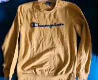 Pullover von Champion, vintage, hoodie Sachsen - Wurzen Vorschau