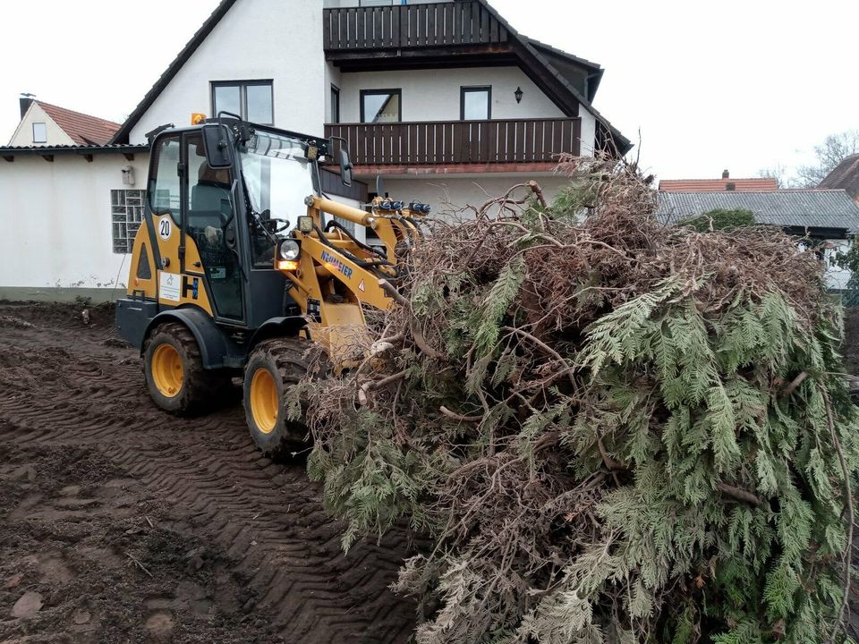 Sträucher Entfernen Heckenroden Heckerausreißen in Nürnberg (Mittelfr)