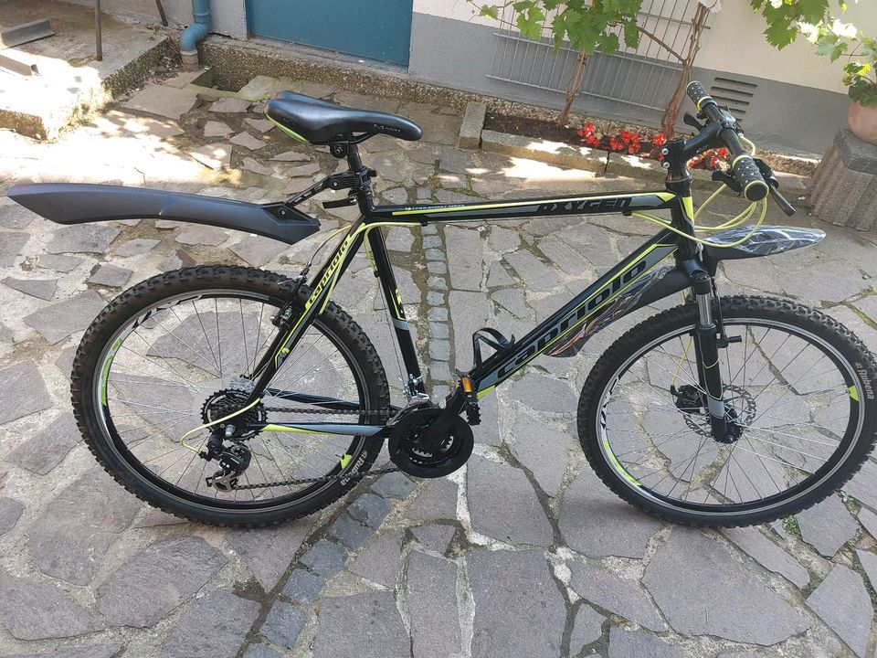 26 Zoll jungen Fahrrad (Capriolo. ) in Uetersen