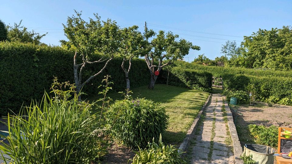 TAUSCHE Pachtgarten in Süd - SUCHE Garten in Nord in Jena