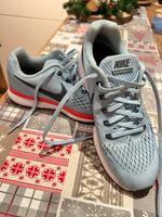 Hellblaue Nike Zoom Pegasus 34 Hessen - Riedstadt Vorschau