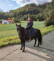 Reitbeteiligung auf durchgeknallter Ponystute Bayern - Steinwiesen Vorschau