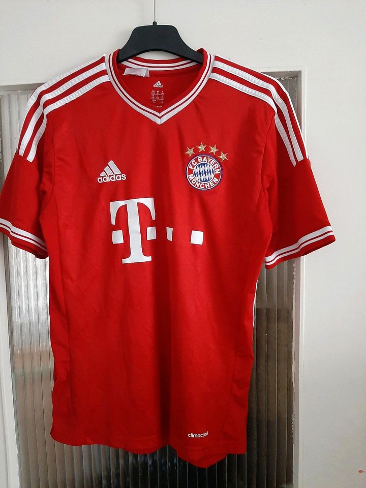 Adidas fc bayern t-shirt Gr. 176 in Mülheim (Ruhr)