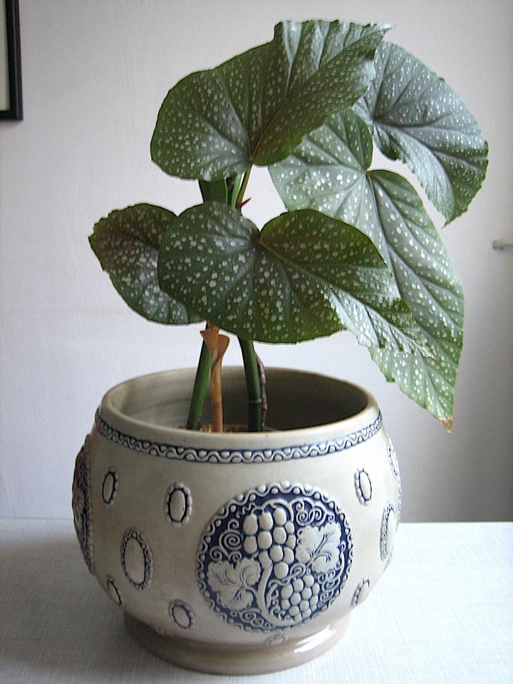 Jugendstil Keramik Bowle mit Deckel Blau-Grau 6 Liter - No 1630 - in Dortmund