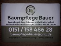 Baumpflege / Baumfällungen Bayern - Mettenheim Vorschau