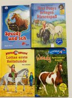 Set 4 Pferde Bücher mit Pony Reiten Lesen 6-12 Jahre Lesespaß Leipzig - Lindenthal Vorschau