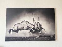 Wandbild 120x80cm Baden-Württemberg - Heidelberg Vorschau