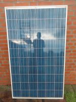 Trina Solar TSM-240PC05 PV-Modul Photovoltaik Nordrhein-Westfalen - Ennigerloh Vorschau