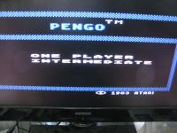 Atari XL/XE 400/800 Modul: - PENGO Niedersachsen - Nienburg (Weser) Vorschau