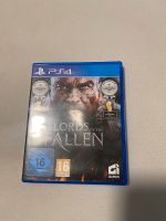 Lords of The fallen PS4 Nordrhein-Westfalen - Ruppichteroth Vorschau