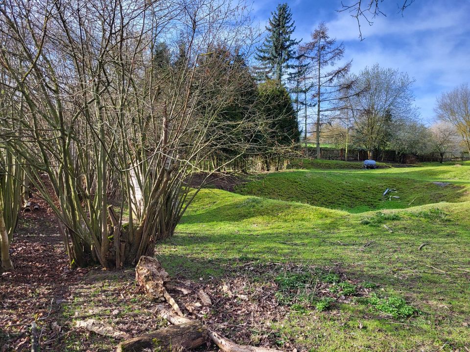 Traumhaftes Gartengrundstück in Dornburg (Saale) in Dornburg