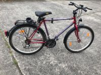 BBF  Herrenfahrrad 26 Zoll Brandenburg - Frankfurt (Oder) Vorschau