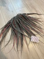 Doubleended DE Dreads Braids Kudos Von Westerkamp Nordrhein-Westfalen - Plettenberg Vorschau