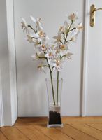 Große Vase mit 2 Orchideen + Dekosand / Dekoration Blumen Hessen - Limburg Vorschau