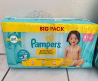 Pampers premium Protection Gr. 4 58 Stück Essen - Essen-Katernberg Vorschau