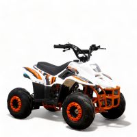 Quad ATV 125 cc Kids Pocket Dirtbike Pitbike NEUHEIT 001 7" Zoll Nordrhein-Westfalen - Gelsenkirchen Vorschau