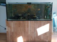 Aquarium 150/60/60 530L Unterschrank Led Beleuchtung Bayern - Landshut Vorschau