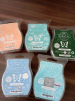 Scentsy Bars Bayern - Mitterfels Vorschau