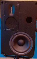 2x Genelec S-30 mit Bändchen incl. Stativ Nordrhein-Westfalen - Hürth Vorschau