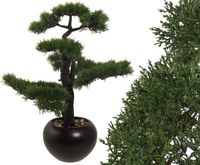 Künstlicher Bonsai Zeder ca. 60cm mit Keramiktopf #KPDI175110-50B Bayern - Jettenbach Vorschau