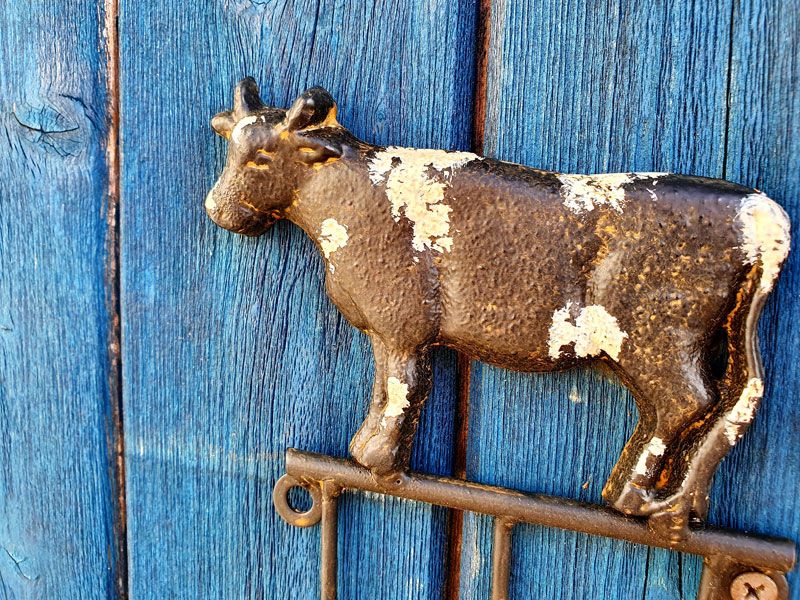 Hakenleiste 3er Wandhaken Garderobe "Kuh Bauernhof Deko Stalldeko in Fürth