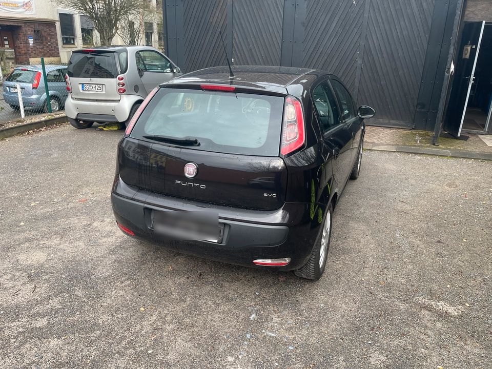 Fiat Punto Evo 1.4 L in Solingen
