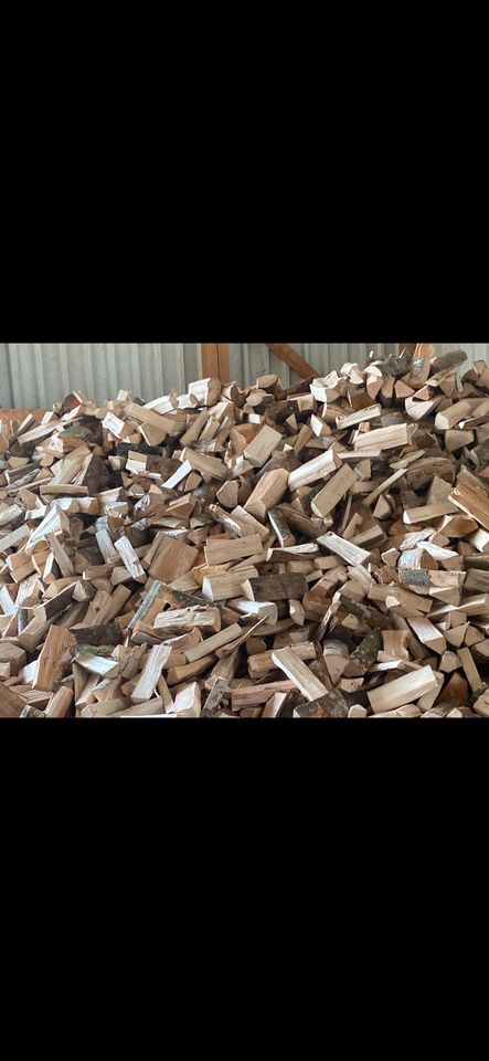 Brennholz zu verkaufen in Neupotz
