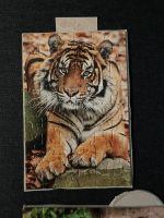 Tiger Puzzle Bild Münster (Westfalen) - Amelsbüren Vorschau