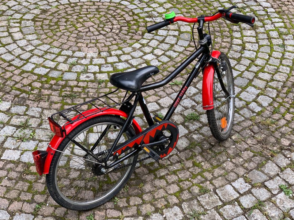 Pegasus Kinderfahrrad 20 Zoll in Weissach