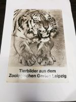 DDR Bild Karten Zoo Leipzig Sachsen - Dippoldiswalde Vorschau