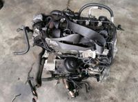 OPEL ASTRA J 1,7 CDTI A17DTR MOTOR KOMPLETT Brandenburg - Hennigsdorf Vorschau