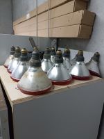 Infrarotstrahler;Wärmelampen;Rotlichtlampen für Tiere Baden-Württemberg - Zweiflingen Vorschau