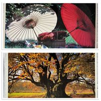 2 Poster laminiert beidseitig: Picknick + Wald im Herbst Niedersachsen - Leer (Ostfriesland) Vorschau