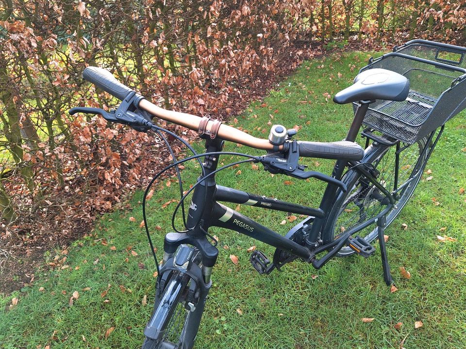 Damenrad / Trekkingrad Pegasus in Wallenhorst