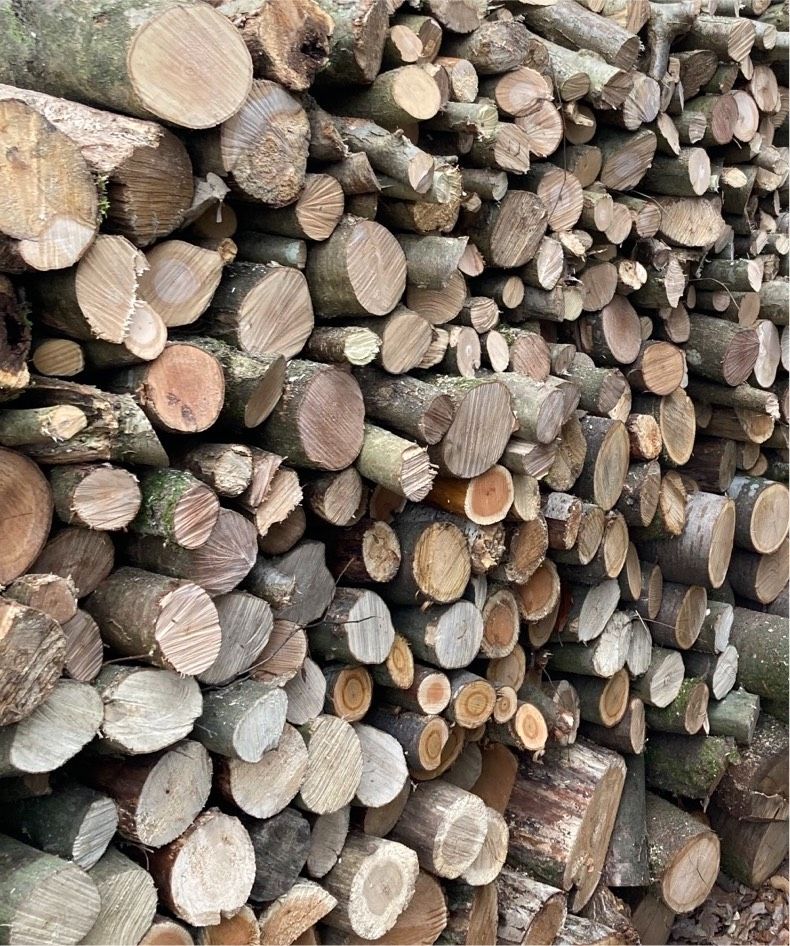 Brennholz, Laubholz gemischt, trocken, geschnitten 30 cm in Bonn