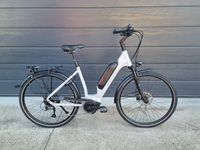 Gudereit ET-3evo Einrohr hellgrau Gr.M/50cm 545Wh Bosch E-Bike Sachsen - Pirna Vorschau