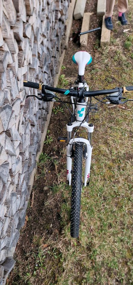 Fahrrad Cube Access Mountainbike Kinder/Damen in Breitenbrunn