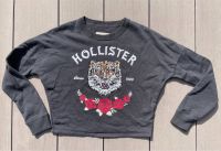 Hollister Pulli Tiger Größe XS Baden-Württemberg - Sandhausen Vorschau