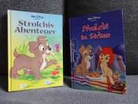 2x Walt Disney Bücher von (Susi &) Strolch / Hunde / Tierbücher Berlin - Lichtenberg Vorschau