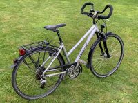 hochwertiges gepflegtes Trekkingrad 28“ RH46 Deore Magura Fahrrad Nordrhein-Westfalen - Bünde Vorschau