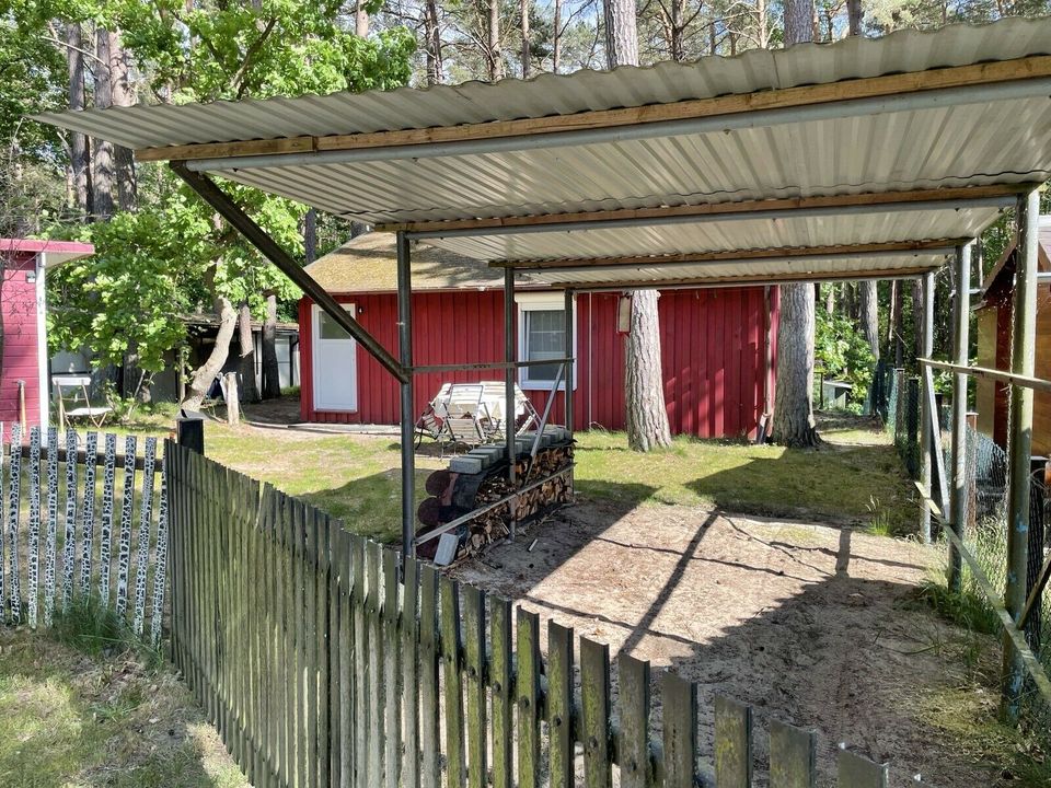 Ferienhaus Ferienbungalow Haus Insel Usedom Ostsee Sommer 2024 in Dessau-Roßlau