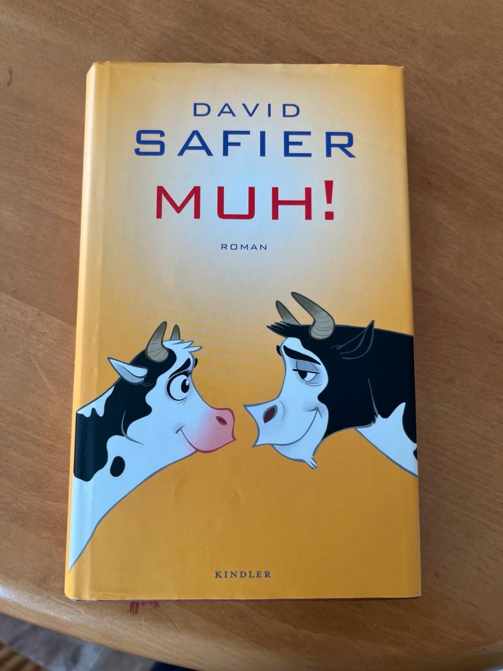 David Safier Muh Buch in Höhndorf