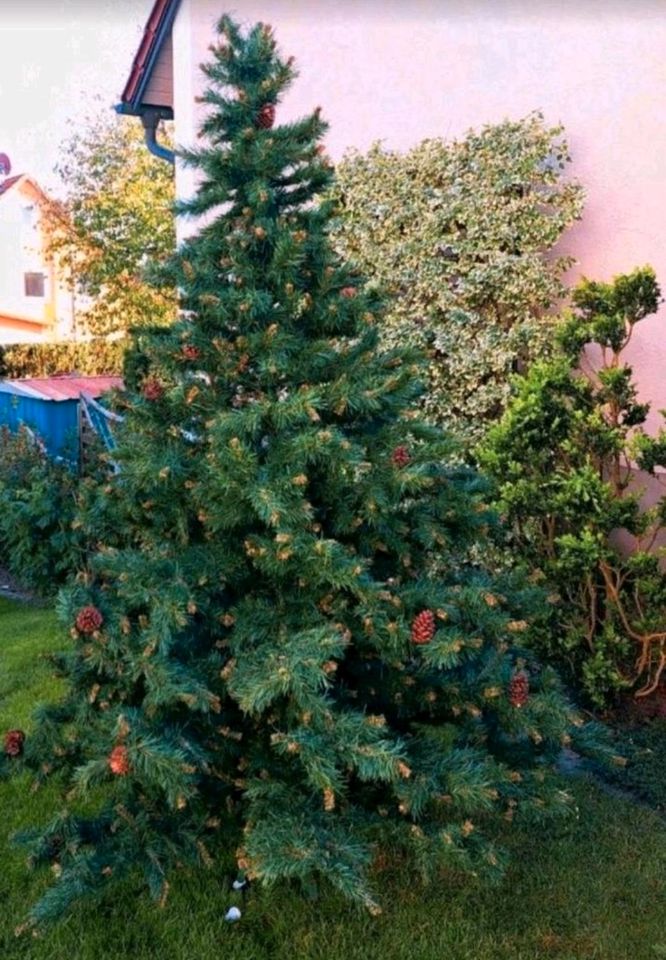 Weihnachtsbaum Künstlich Hochwertige Qualität in Regensburg