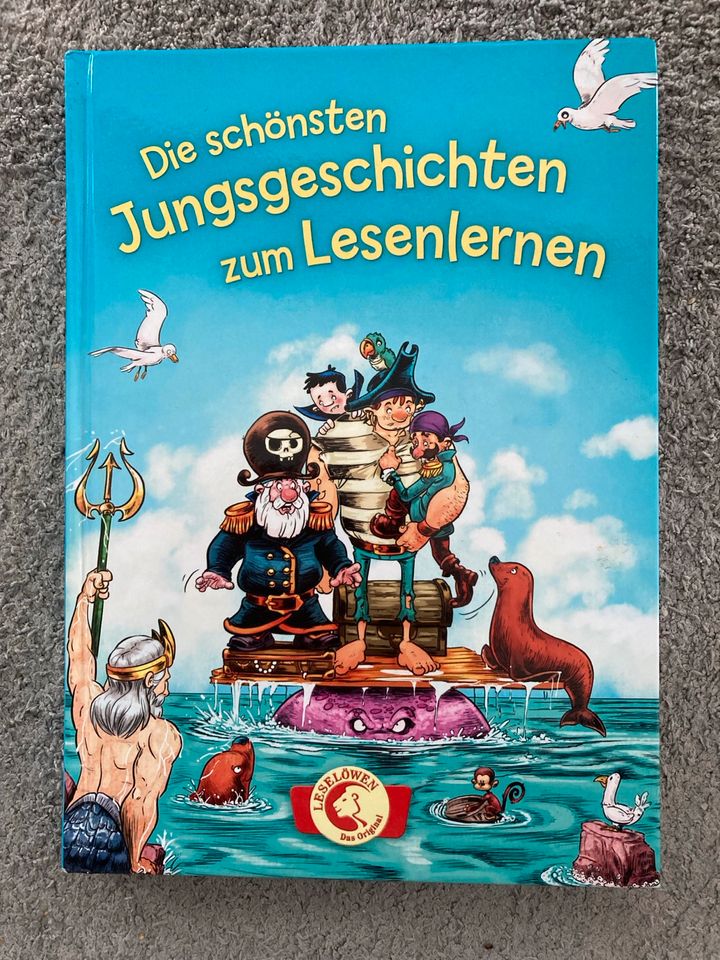 Buch „Jungsgeschichten zum Lesenlernen“ in Deckenpfronn