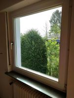 Fenster doppelt verglast verschiedene Größen Hessen - Eschwege Vorschau